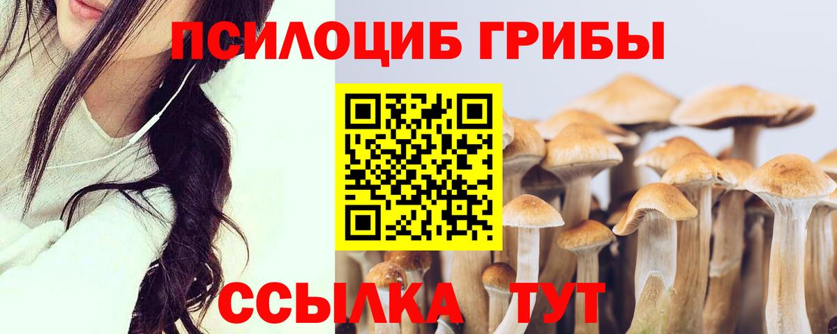 Югорск  Псилоцибиновые грибы Cubensis  Вход с VPN 